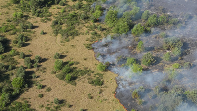 Großbrand bei Neustrelitz: Hitze erschwert die Bekämpfung